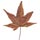Maple leaf thumbnail